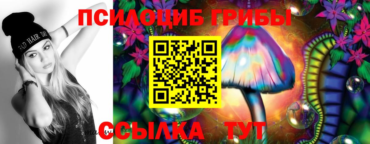 Галлюциногенные грибы прущие грибы Будённовск