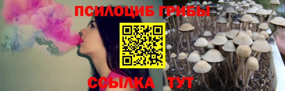 Псилоцибиновые грибы Cubensis  Псилоцибиновые грибы Psilocybe  Будённовск 